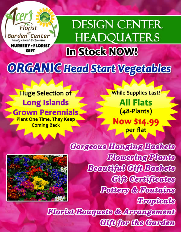 ORganic Head Start Vegetables