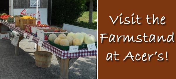 Acer's Farmstand