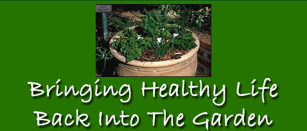 healthy garden