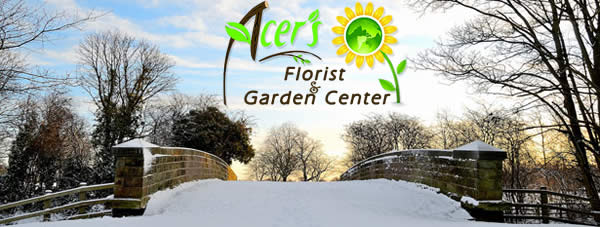 Acer's Florist & Garden Center