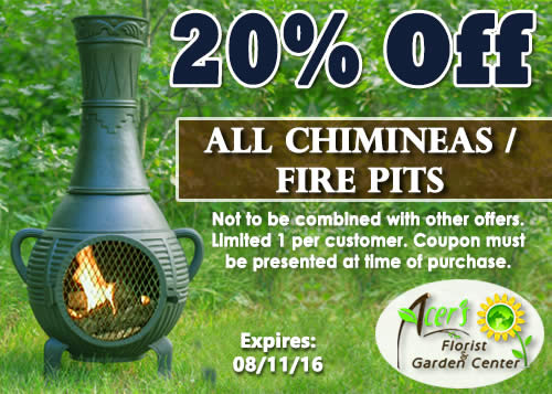 Chimineas Coupon