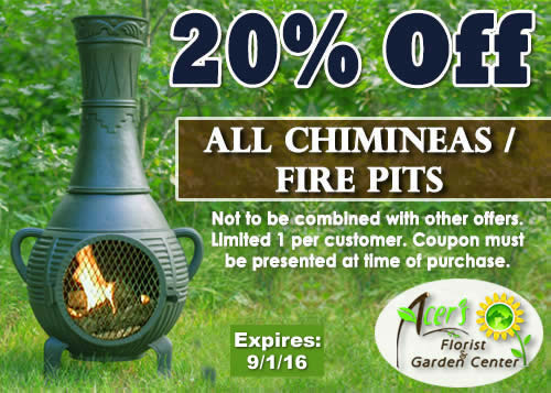 Chimineas Coupon
