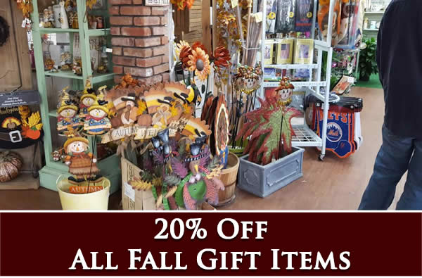 20% off fall gift items